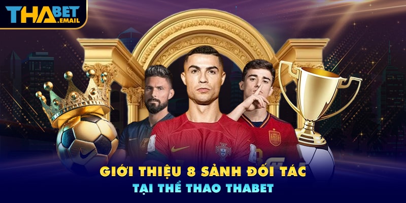 Top các sảnh cá cược thại Thể thao Thabet Top các sảnh cá cược thại Thể thao Thabet